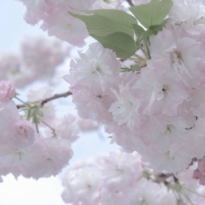 渭城福瑞交流群